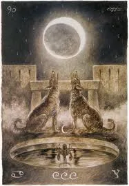 luna8
